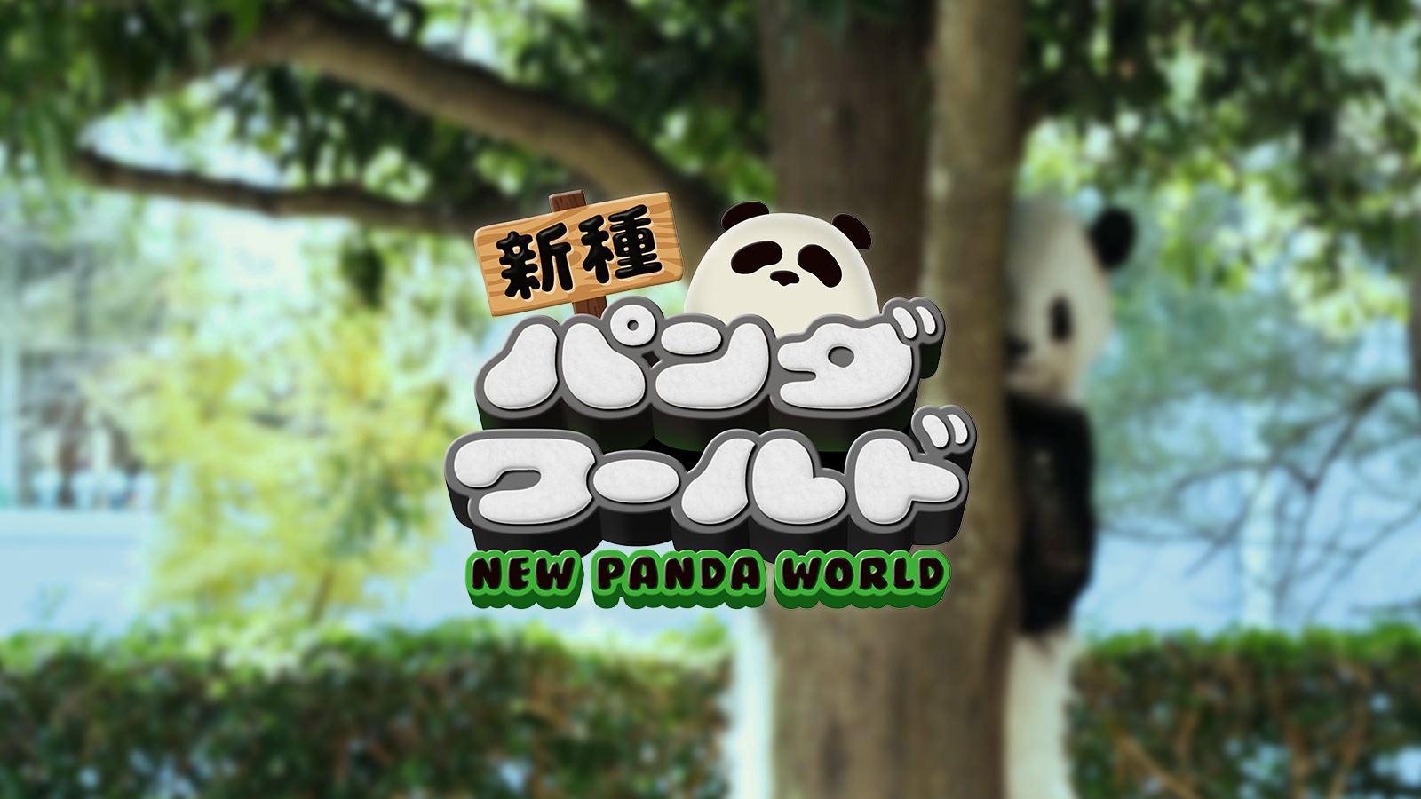 新種パンダワールド
