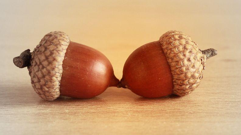 【ラジオ】ゆかいなラジオ「donguri.fm」に出演しました