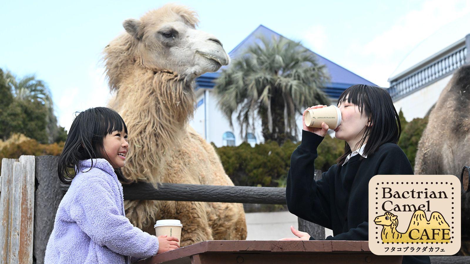 10種類の動物カフェ