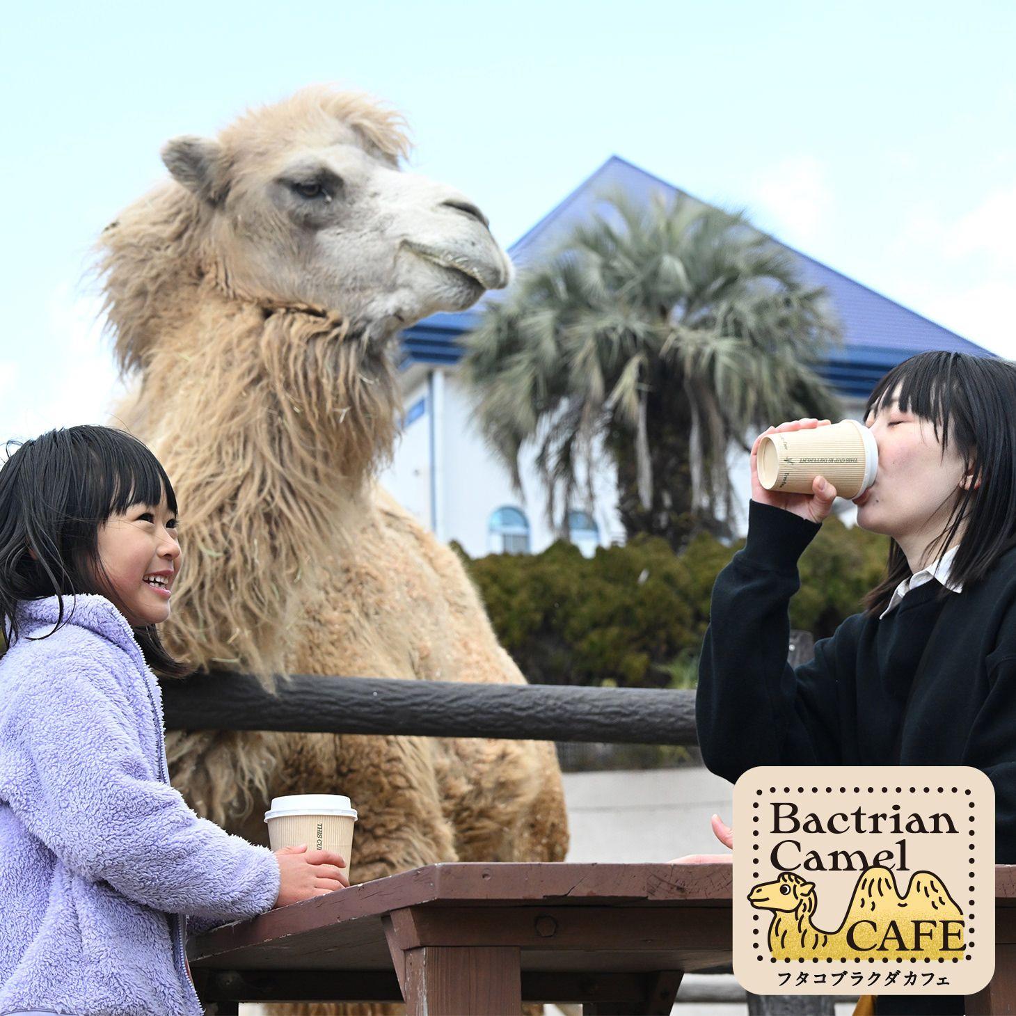 10種類の動物カフェ