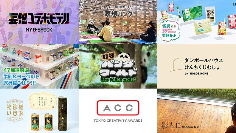 【記事】2024年のブルーパドル仕事まとめ