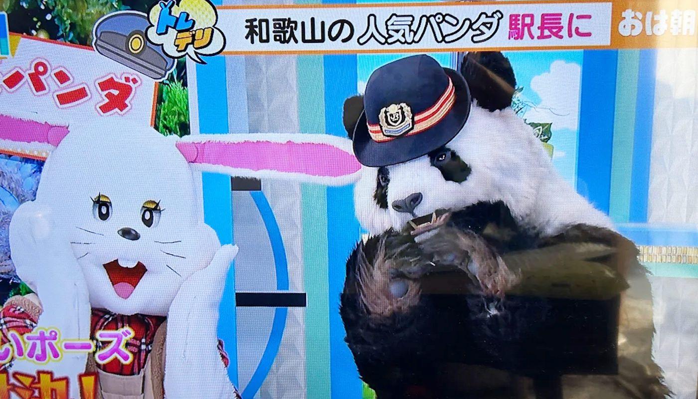 【TV】おはよう朝日で新種パンダが紹介