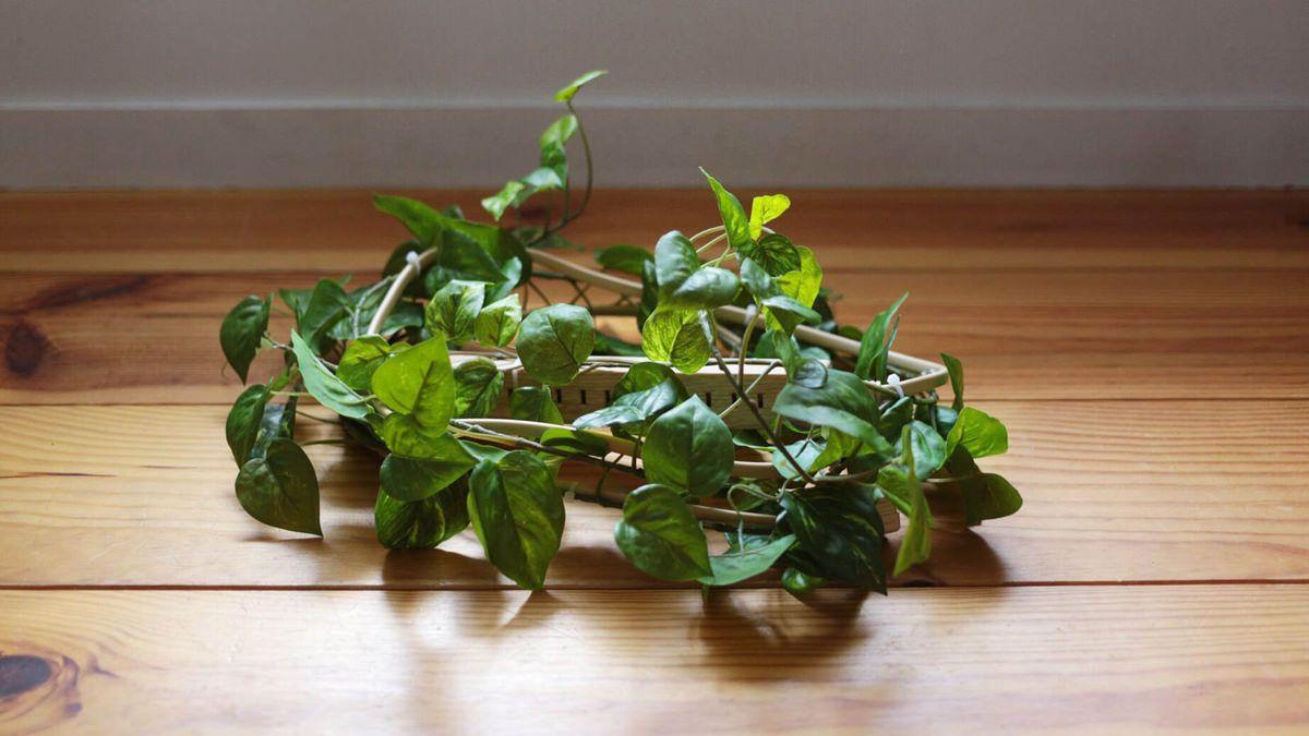 「変なプロダクトまとめ」を公開!!!