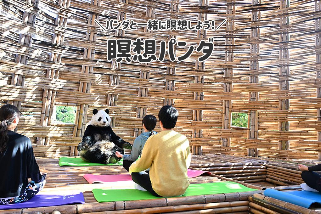 【記事】新種パンダワールドの企画話
